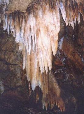<img:http://www.fhar.org/adventure/camping/Cave%20Crystals%20Big%20Trees%20SP%202005.JPG>